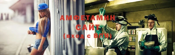 амф Аркадак