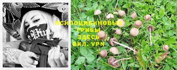 гидропоника Арсеньев