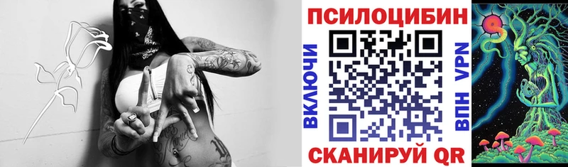 Псилоцибиновые грибы GOLDEN TEACHER  Купить где  Талдом 